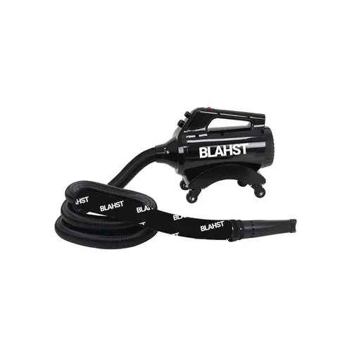 BLAHST Air Maxx Dryer with Wall Mount