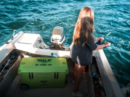 Fridges & Cooler Boxes image